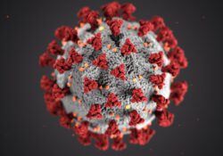 Update: Invloed van het coronavirus op de werkzaamheden