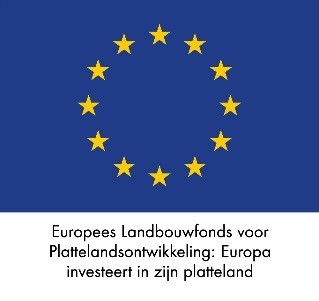 Logo Europeeslandbouwfonds: plattelandsontwikkeling: Europa investeert in zijn platteland