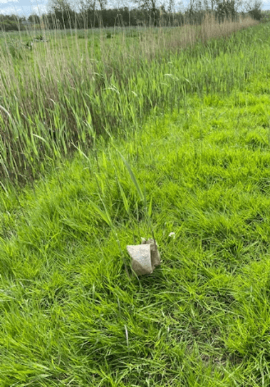 Foto van een stuk plastic in het gras
